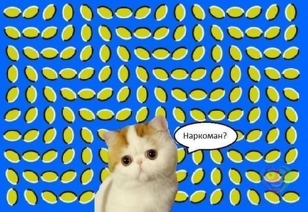 обман зрения